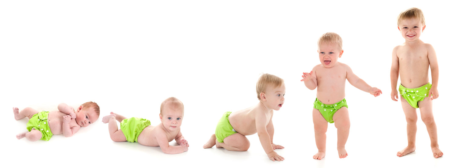 baby Diaper